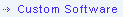 custom software 